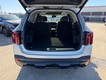 2026 Kia Sorento X-Line EX thumbnail image 05