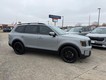 2025 Kia Telluride SX-Prestige X-Line thumbnail image 02