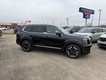 2025 Kia Telluride S thumbnail image 02