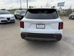 2023 Kia Sorento X-Line S thumbnail image 04