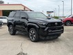 2025 Toyota 4Runner 4WD (Natl) thumbnail image 01