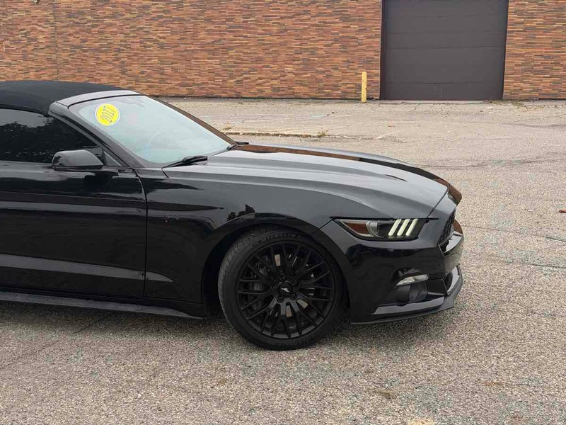 Ford Mustang Vehicle Full-screen Gallery Image 02