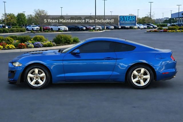 Ford Mustang Vehicle Full-screen Gallery Image 02