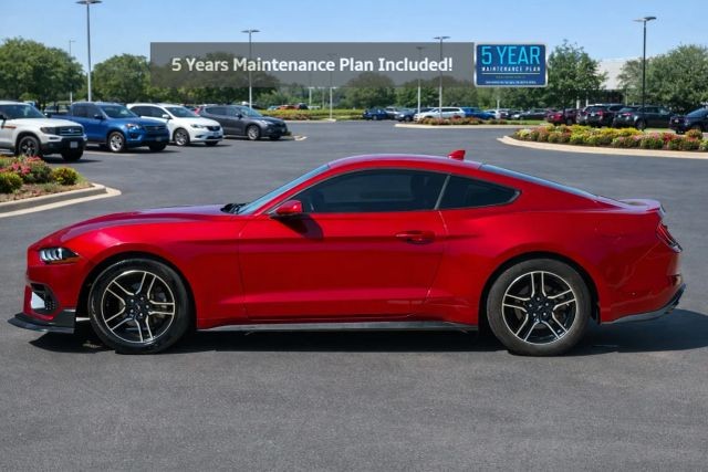 Ford Mustang Vehicle Full-screen Gallery Image 02