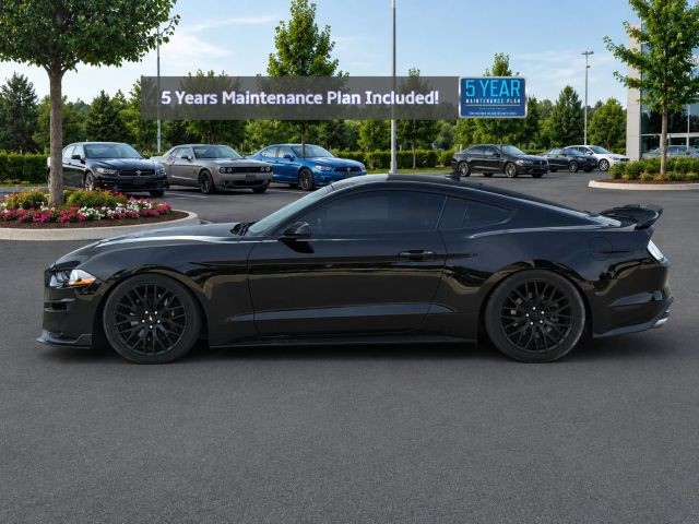 Ford Mustang Vehicle Full-screen Gallery Image 02