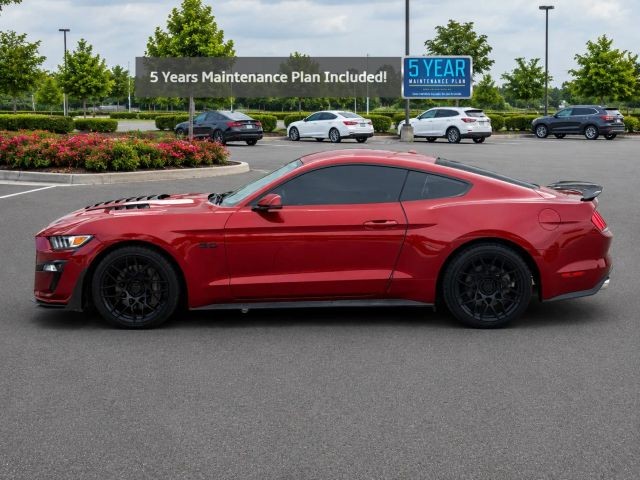Ford Mustang Vehicle Full-screen Gallery Image 02