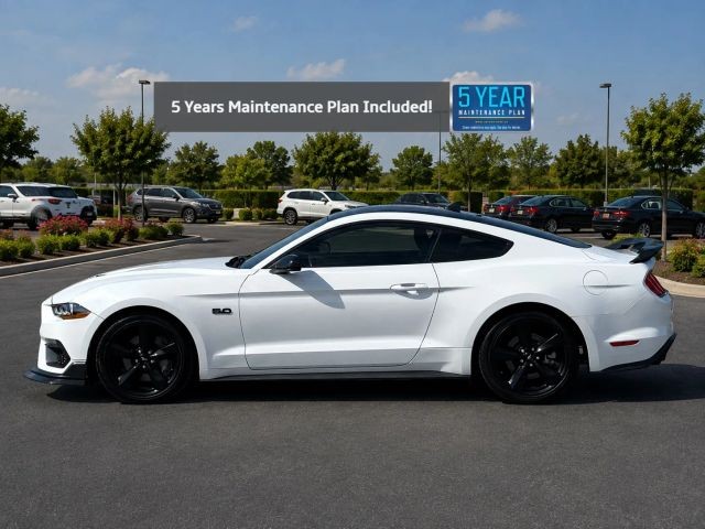 Ford Mustang Vehicle Full-screen Gallery Image 02