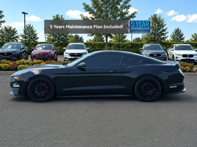 Ford Mustang Vehicle Full-screen Gallery Image 02
