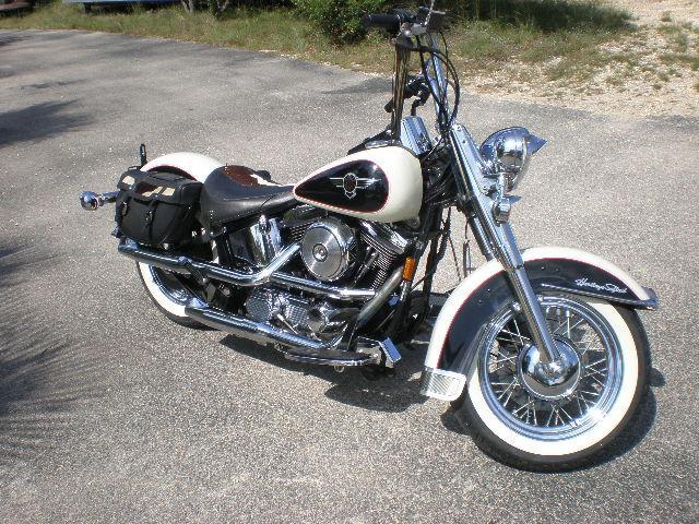 Harley-Davidson FLSTN Moo Glide   - Round Mountain TX