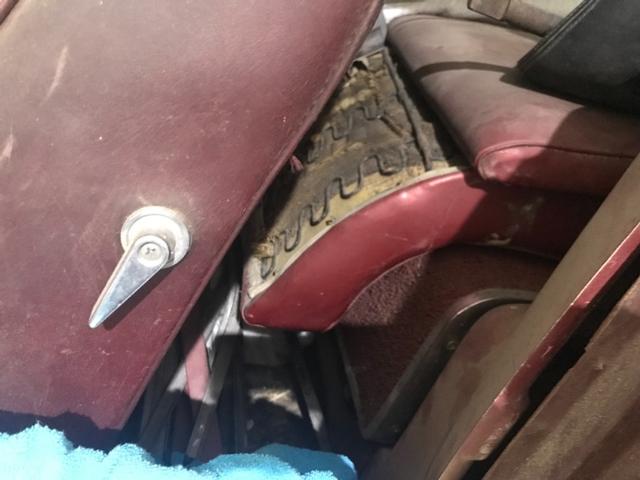 Ford Mustang Vehicle Full-screen Gallery Image 12