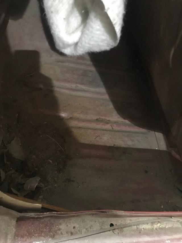 Ford Mustang Vehicle Full-screen Gallery Image 27