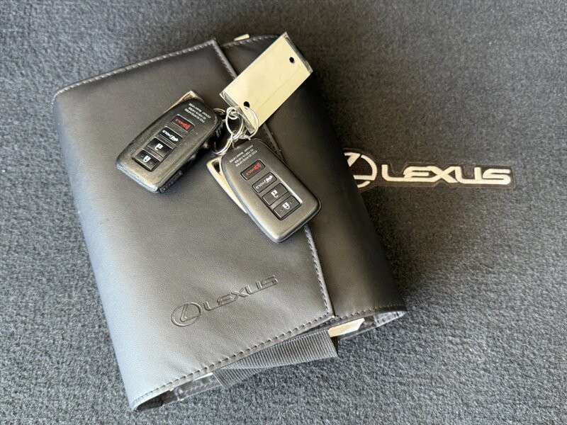 Lexus RX 350 Vehicle Full-screen Gallery Image 42