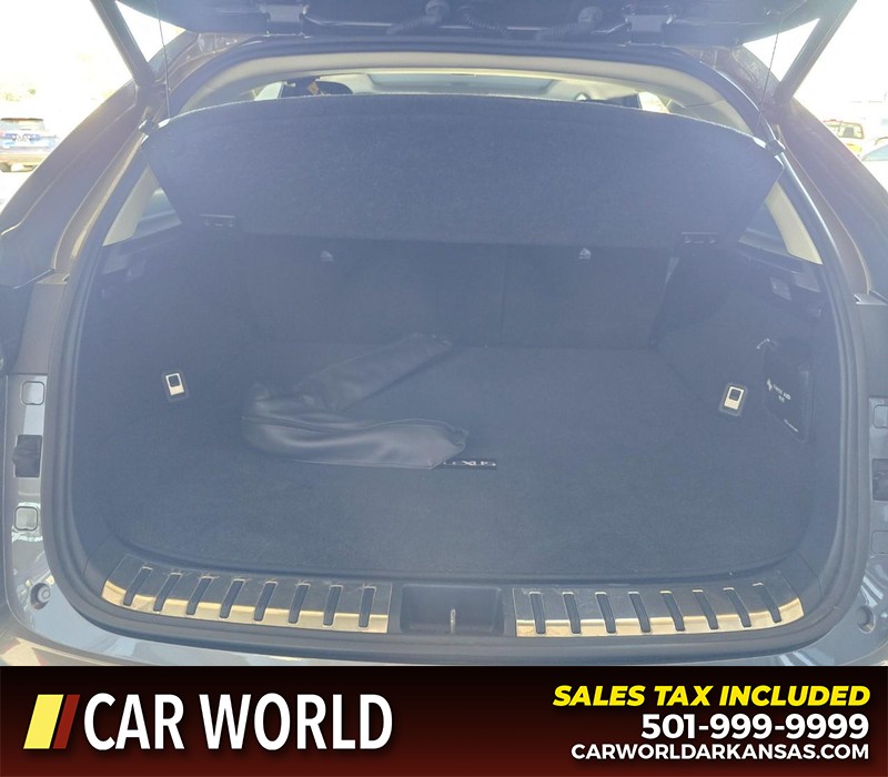Lexus NX Vehicle Full-screen Gallery Image 13