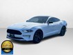 2022 Ford Mustang EcoBoost thumbnail image 05