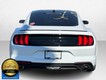 2022 Ford Mustang EcoBoost thumbnail image 07