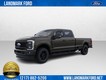 2024 Ford Super Duty F-250 SRW   thumbnail image 01