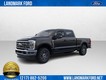 2025 Ford Super Duty F-250 SRW   thumbnail image 01