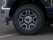 2025 Ford Super Duty F-250 SRW   thumbnail image 19