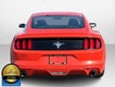 2016 Ford Mustang V6 thumbnail image 07