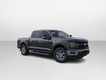 2025 Ford F-150 XLT thumbnail image 07