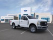 2025 Ford Super Duty F-250 SRW   thumbnail image 07