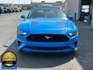 2023 Ford Mustang EcoBoost Premium thumbnail image 04