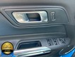 2023 Ford Mustang EcoBoost Premium thumbnail image 08