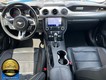 2023 Ford Mustang EcoBoost Premium thumbnail image 16