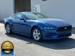 2024 Ford Mustang EcoBoost thumbnail image 02