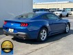 2024 Ford Mustang EcoBoost thumbnail image 03