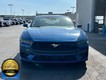2024 Ford Mustang EcoBoost thumbnail image 04
