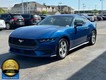 2024 Ford Mustang EcoBoost thumbnail image 05