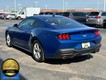 2024 Ford Mustang EcoBoost thumbnail image 06