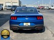 2024 Ford Mustang EcoBoost thumbnail image 07