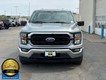2023 Ford F-150 4WD XLT Reg Cab thumbnail image 04
