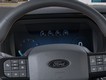 2025 Ford F-150 Tremor thumbnail image 13