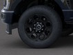 2025 Ford Super Duty F-250 SRW   thumbnail image 19