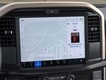 2025 Ford F-150 STX thumbnail image 14