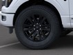 2025 Ford F-150 Platinum thumbnail image 19