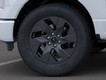 2025 Ford F-150 Lightning Flash thumbnail image 19