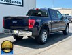 2023 Ford F-150 4WD XLT SuperCrew thumbnail image 03