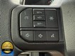 2023 Ford F-150 4WD XLT SuperCrew thumbnail image 14