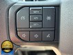 2023 Ford F-150 4WD XLT SuperCrew thumbnail image 10