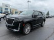 2023 Cadillac Escalade Premium Luxury thumbnail image 04