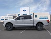2025 Ford F-150 Lightning Flash thumbnail image 03