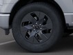 2025 Ford F-150 Lightning Flash thumbnail image 19