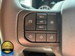 2023 Ford Super Duty F-350 DRW 4WD Crew Cab 179 thumbnail image 10