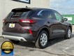 2023 Ford Escape Active thumbnail image 03
