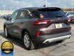 2023 Ford Escape Active thumbnail image 05