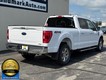 2021 Ford F-150 4WD XLT SuperCrew thumbnail image 03